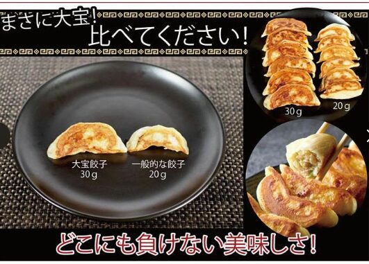 Yahoo！ショッピングより大宝餃子の大きさ